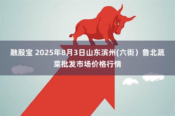 融股宝 2025年8月3日山东滨州(六街）鲁北蔬菜批发市场价格行情