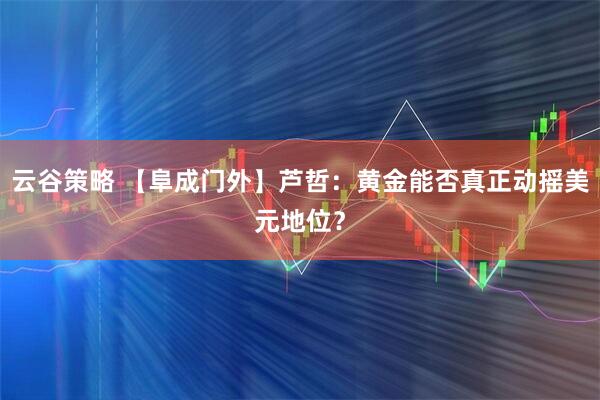 云谷策略 【阜成门外】芦哲：黄金能否真正动摇美元地位？
