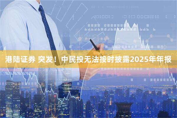 港陆证券 突发！中民投无法按时披露2025年年报