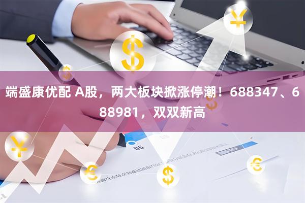 端盛康优配 A股，两大板块掀涨停潮！688347、688981，双双新高